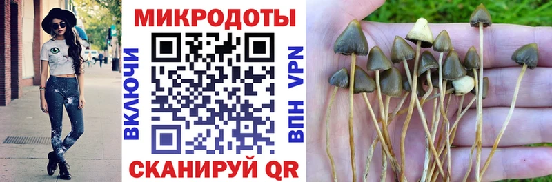 как найти закладки  Кубинка  Псилоцибиновые грибы ЛСД 